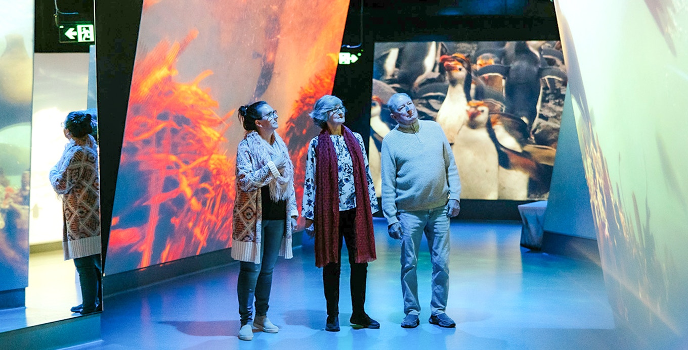 Antarctic Journey at Nobbies Centre - Phillip Island Nature Park tickets