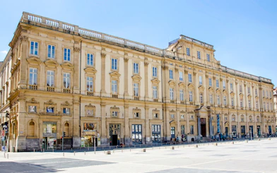 Fine Arts Museum facade in Lyon during city tour.