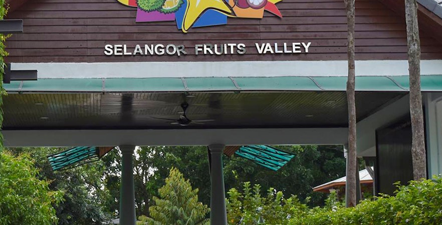 Selangor Fruit Valley Tickets