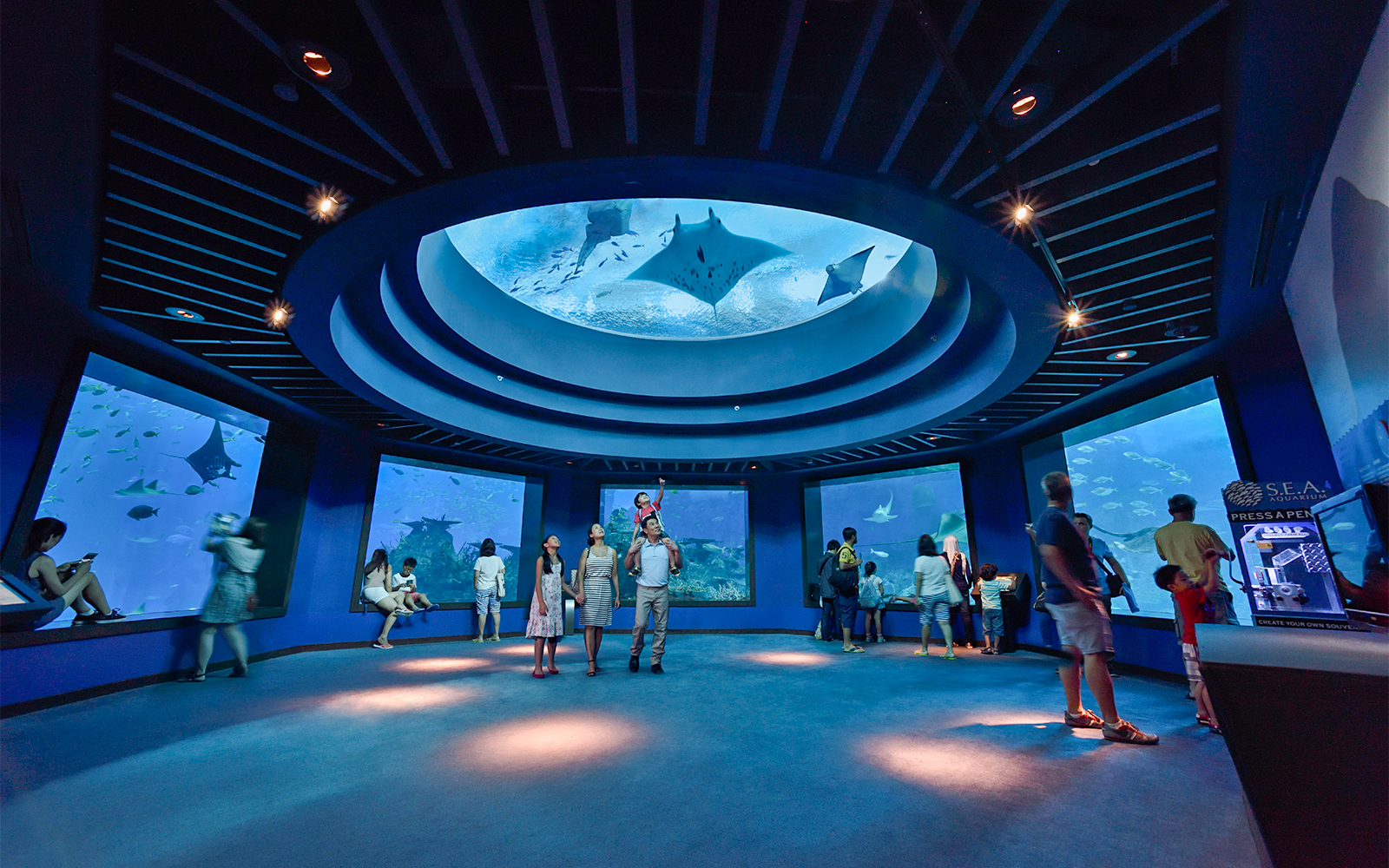 Visitors observing marine life at SEA Aquarium, Singapore, with manta rays swimming overhead.