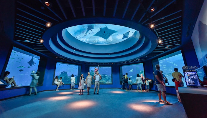 Visitors observing marine life at SEA Aquarium, Singapore, with manta rays swimming overhead.
