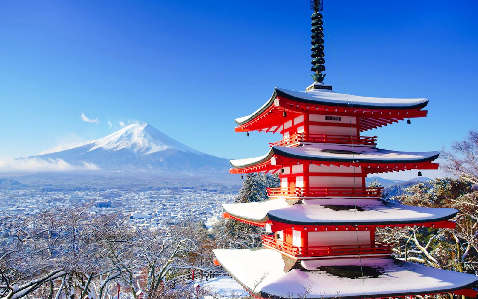 From Tokyo: Lake Kawaguchi Ropeway and Arakurayama Sengen Park Tour Image 2