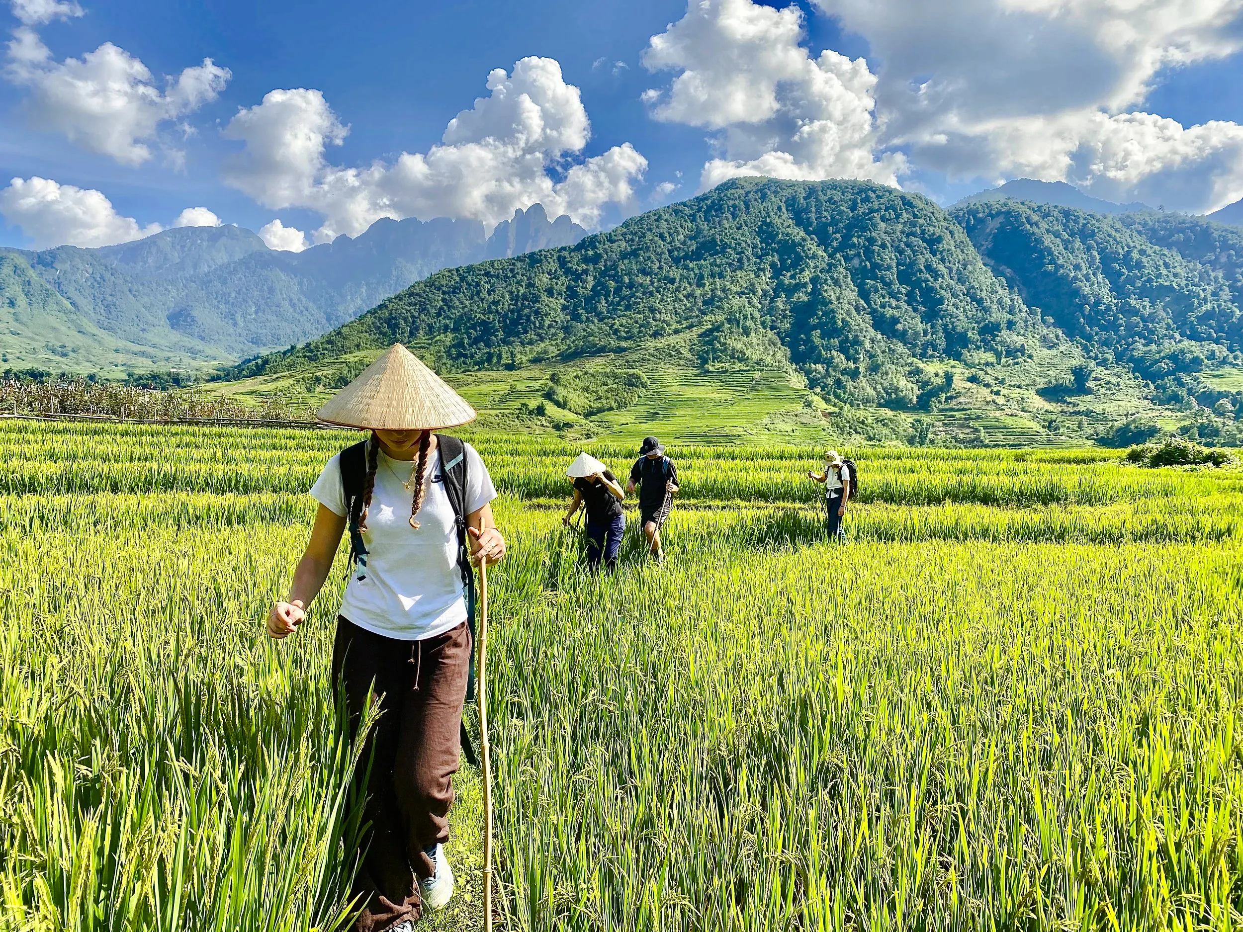 Tourists walking through rice fields in Y Linh Ho, Sa Pa, with mountains in the background.
