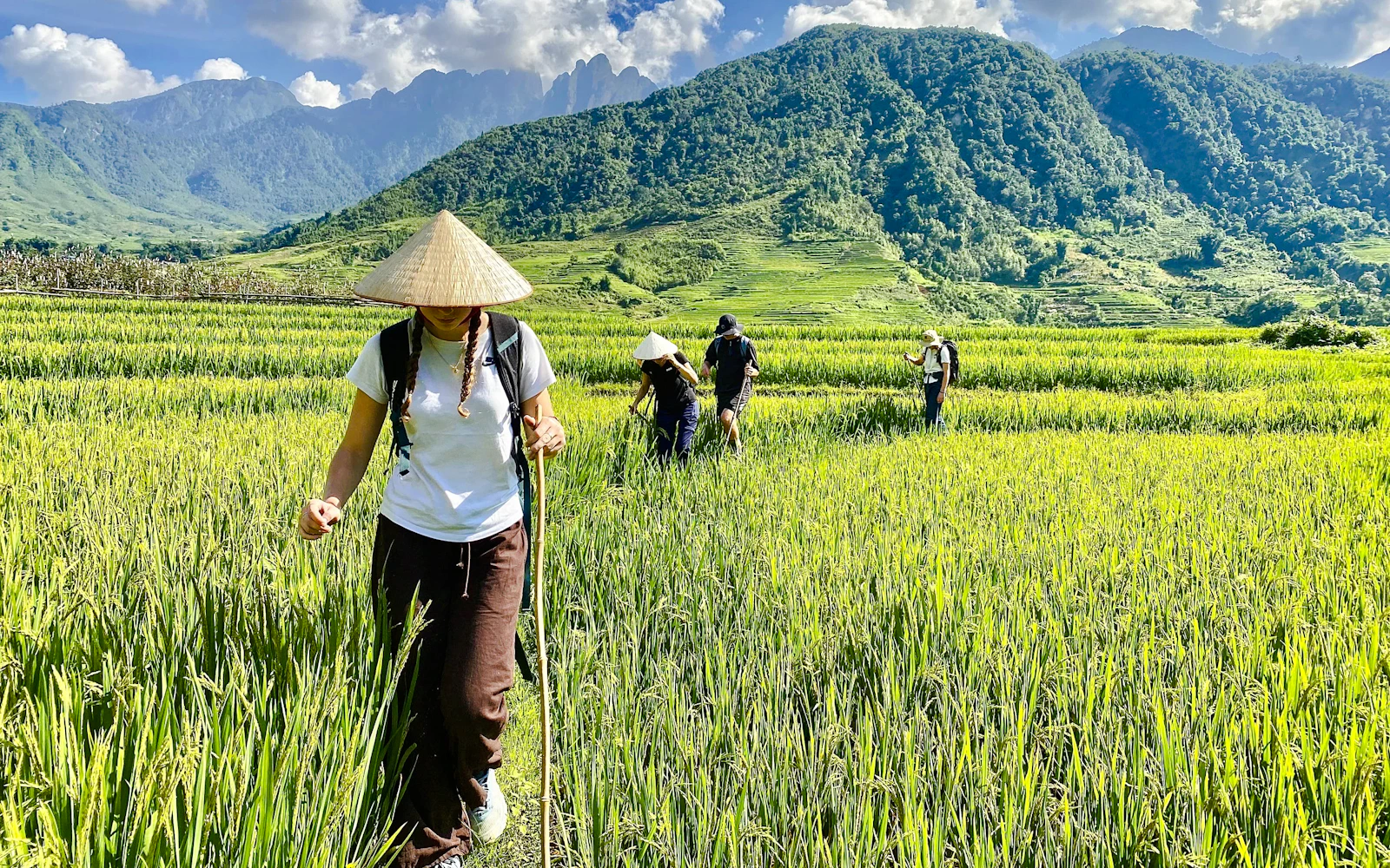 From Sapa: Muong Hoa Valley Guided Trek to Y Linh Ho, Lao Chai & Ta Van with Lunch