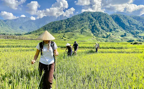Tourists walking through rice fields in Y Linh Ho, Sa Pa, with mountains in the background.