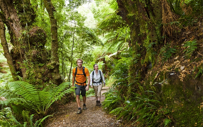 Tourists walking through lush forest on Great Ocean Road day tour.