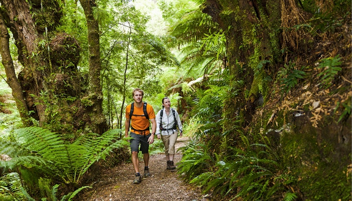 Tourists walking through lush forest on Great Ocean Road Day tour in Melbourne, Australia.