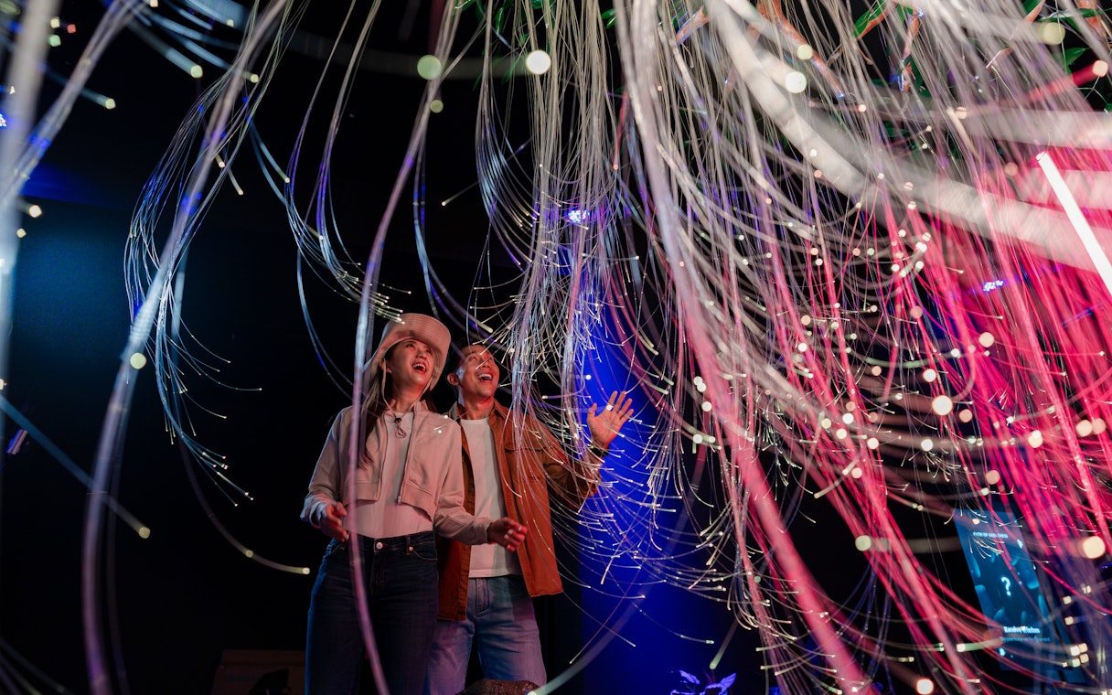 Visitors enjoying optical fibre light installation at Enchanted Forest.