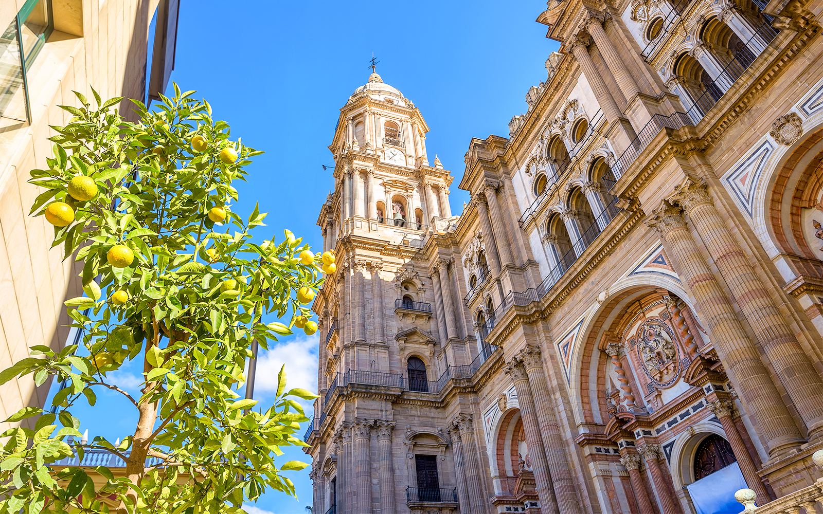 Malaga Cathedral
