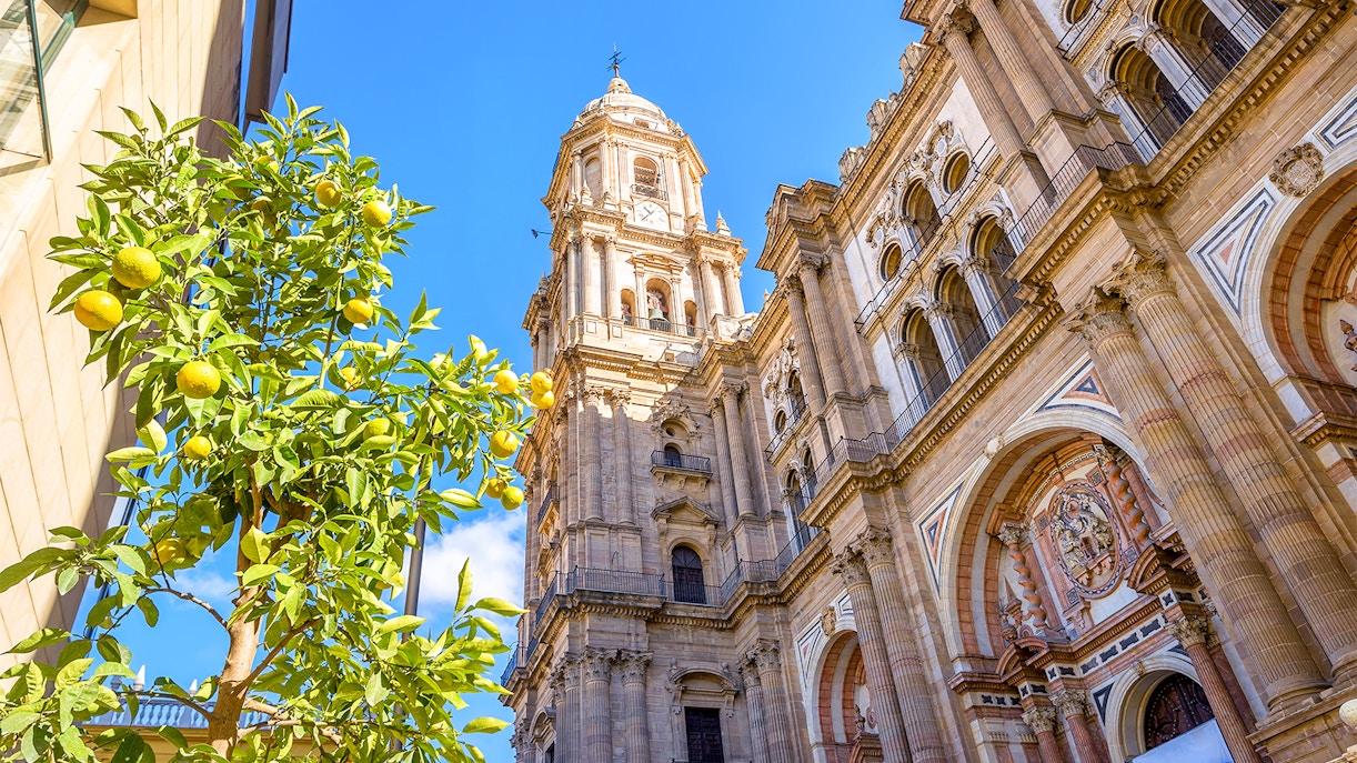 Malaga Cathedral