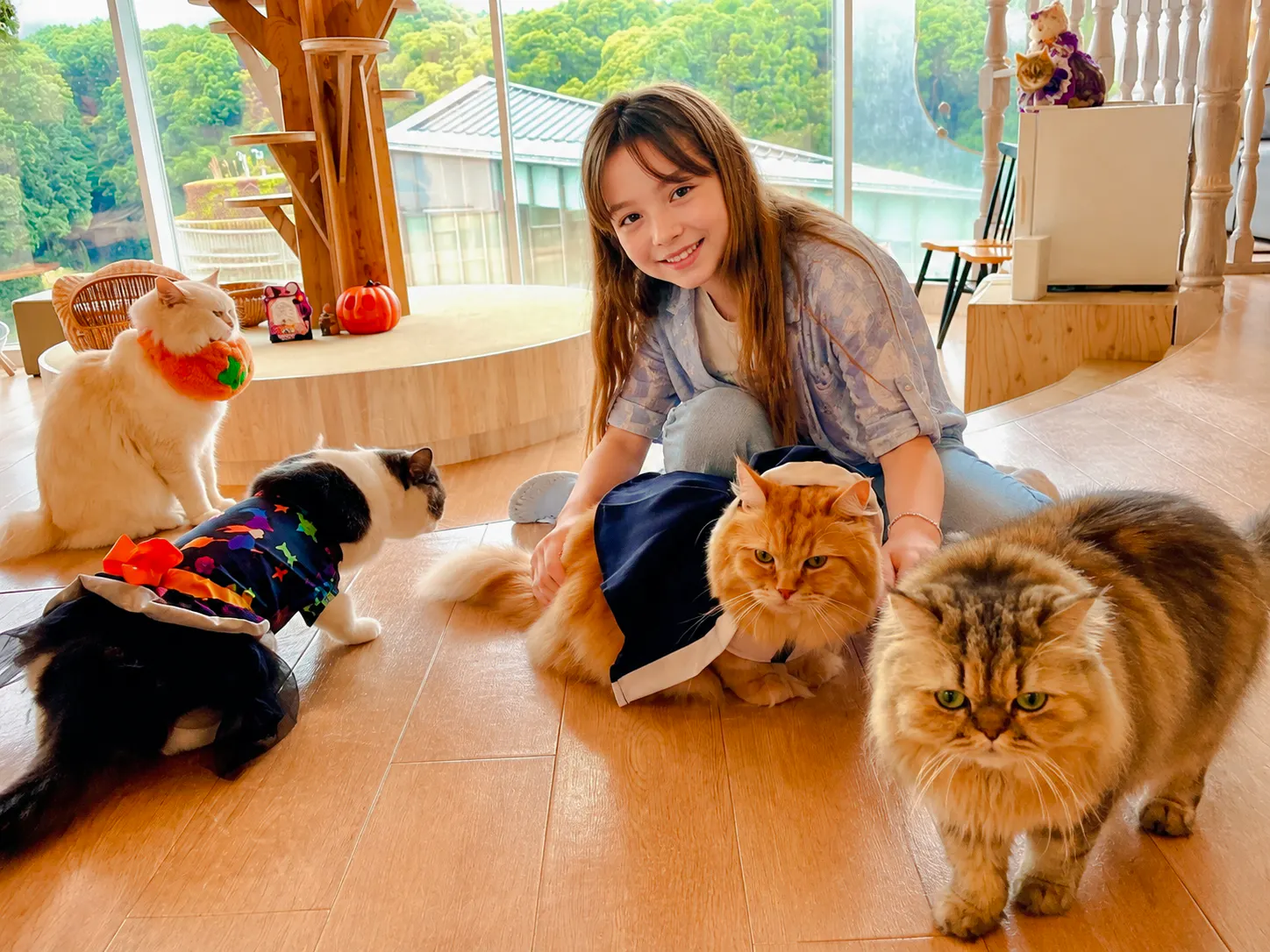 Tokyo Cat-Themed Walking Tour: Gotokuji Lucky Cat Temple and Harajuku Cat Cafe