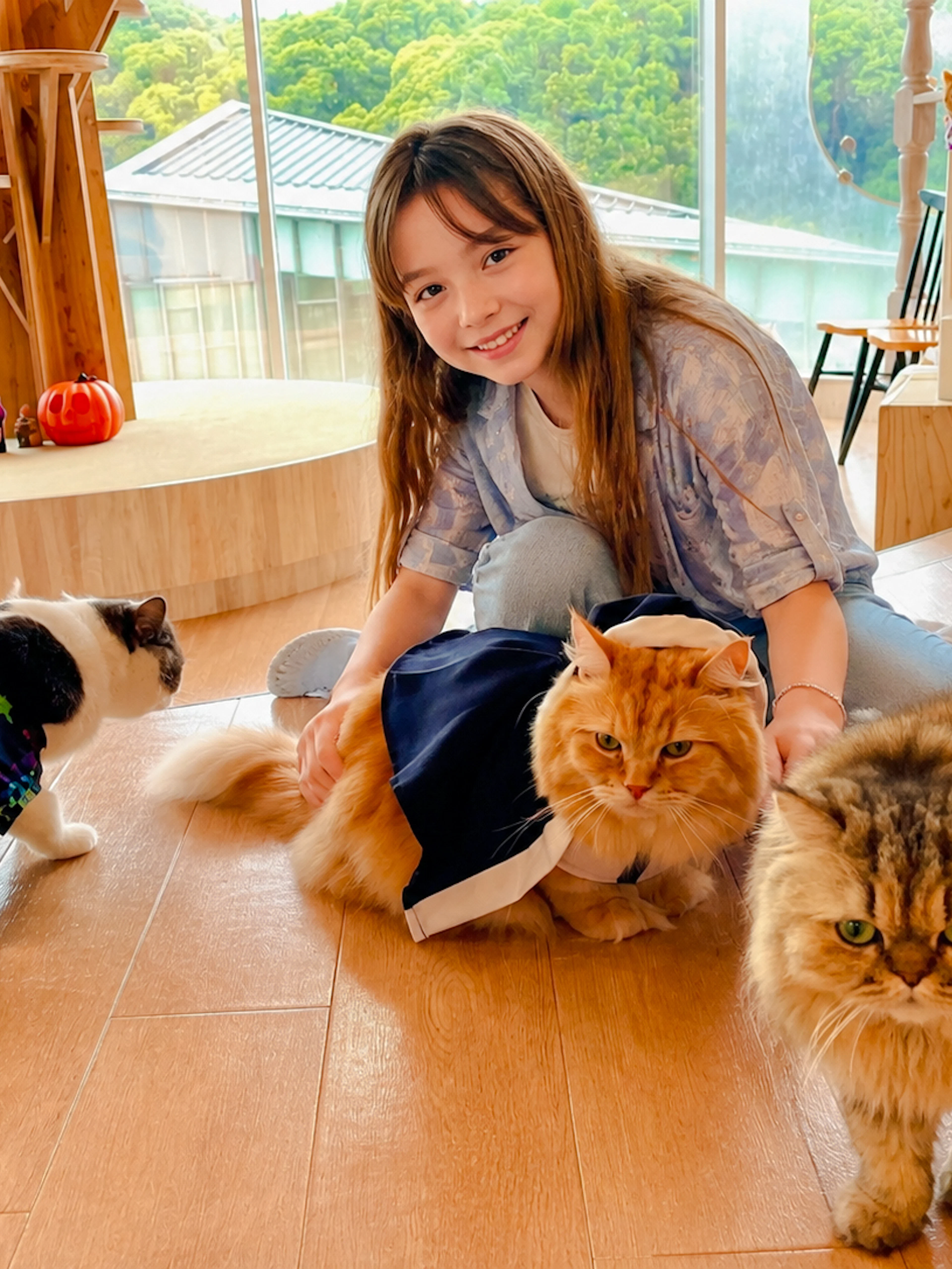 tokyo cat-themed walking tour: gotokuji lucky cat temple and harajuku cat cafe-1