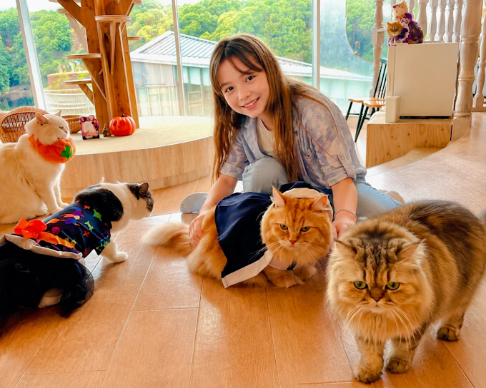 Tokyo Cat-Themed Walking Tour: Gotokuji Lucky Cat Temple and Harajuku Cat Cafe (Product 52393)