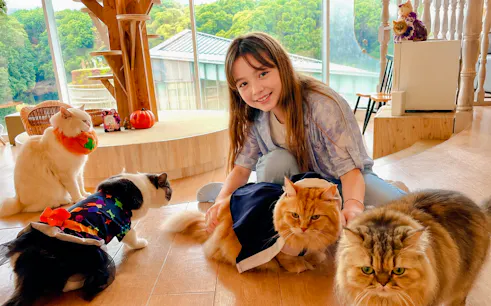 tour a pie por tokio con temática felina: el templo gotokuji de los gatos de la suerte y el café de gatos de harajuku-1