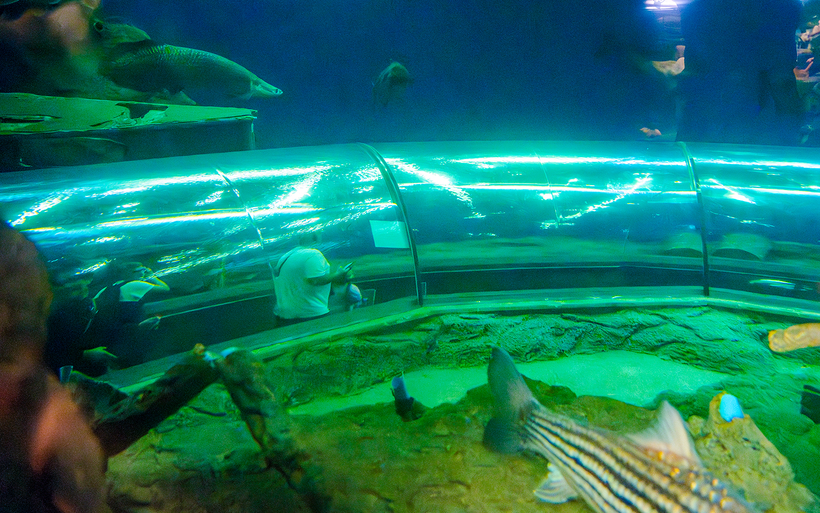 Mundo Submarino Pattaya	