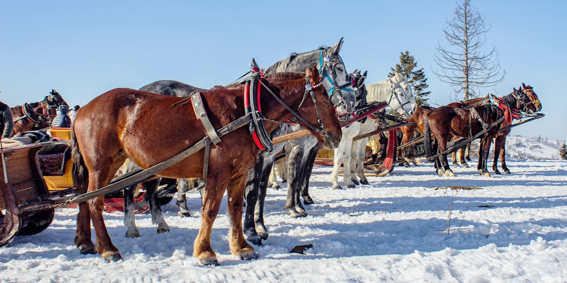 Sleigh Ride Zakopane