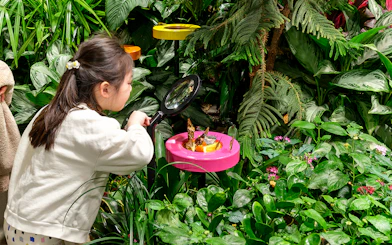 Girl observing butterflies with magnifying glass in vivarium.
