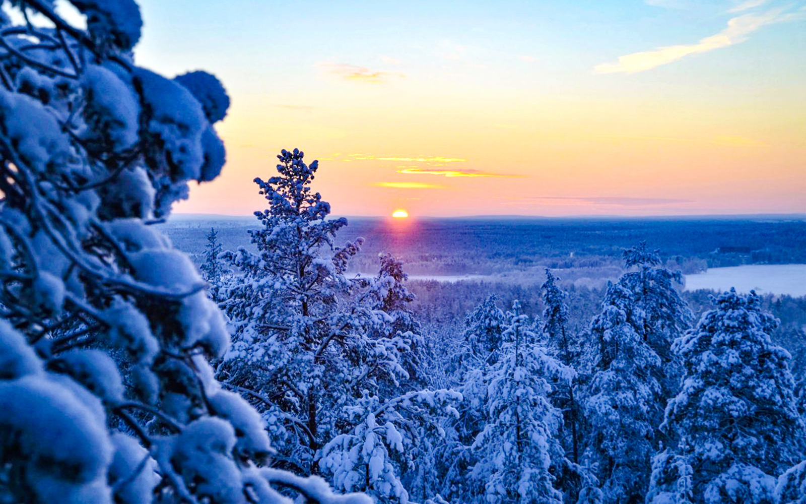 Snow-covered forest at sunset during 1-Hour Snowmobile Safari Adventure from Rovaniemi.