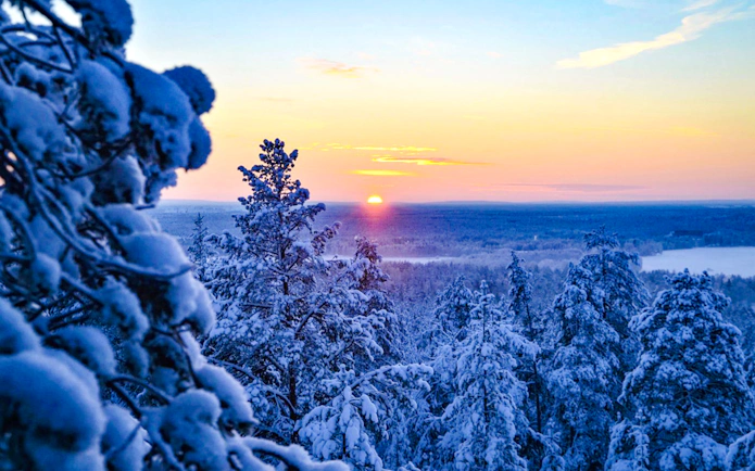 Snow-covered forest at sunset during 1-Hour Snowmobile Safari Adventure from Rovaniemi.