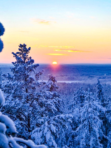 Snow-covered forest at sunset during 1-Hour Snowmobile Safari Adventure from Rovaniemi.