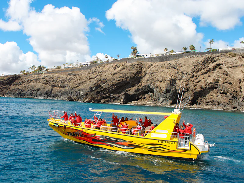 Lobos Island And Dolphin Watching Half Day Trip - Lanzarote