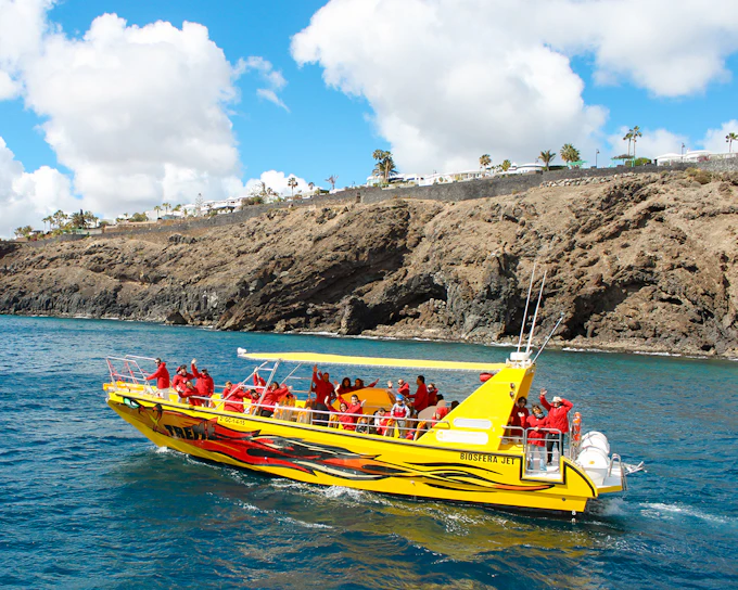 Lobos Island & Dolphin Watching Half-Day Trip