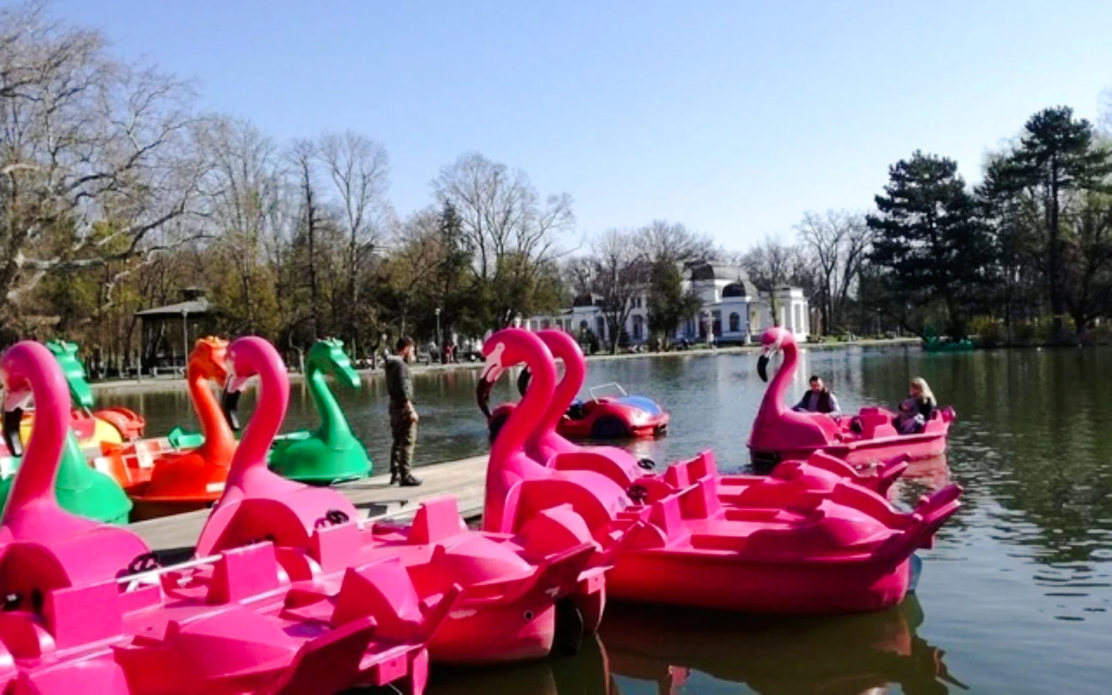 Constanța: Dolphinarium Show Tickets, Microreservation Access & Hydrobike Rental Image 3