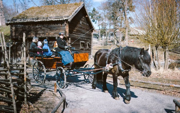 skansen open-air museum entry ticket-5
