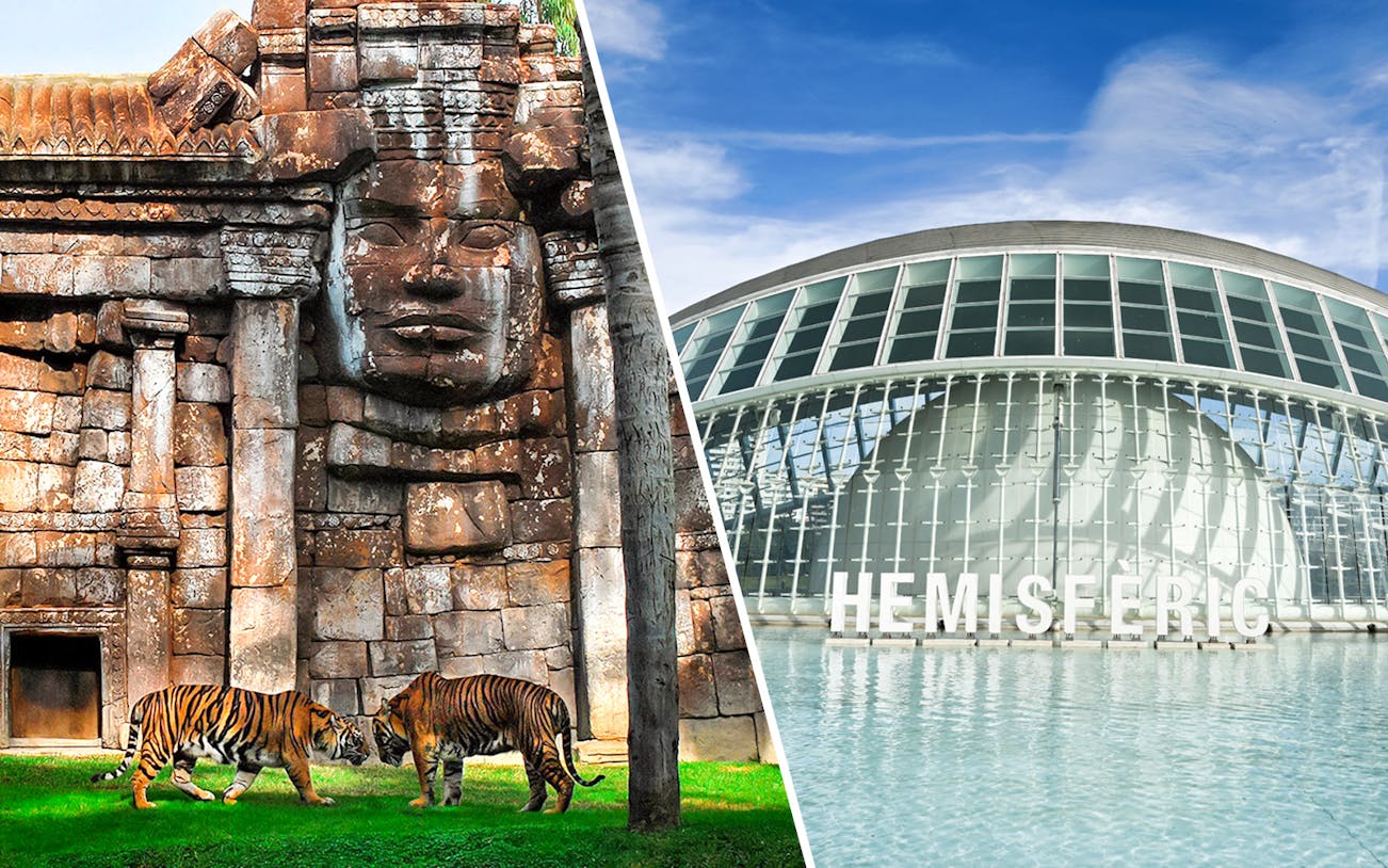 Tigers at Bioparc Valencia and exterior of Hemisfèric building.