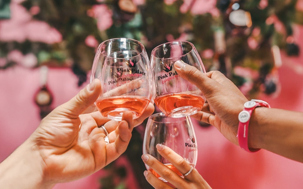 Guests toasting with rosé wine at Pink Palace experience.