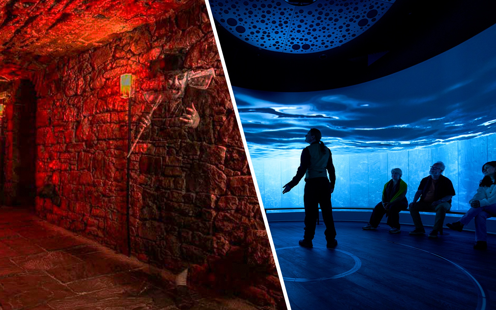 People seated in a room with immersive ocean visuals, Scotland exhibit.