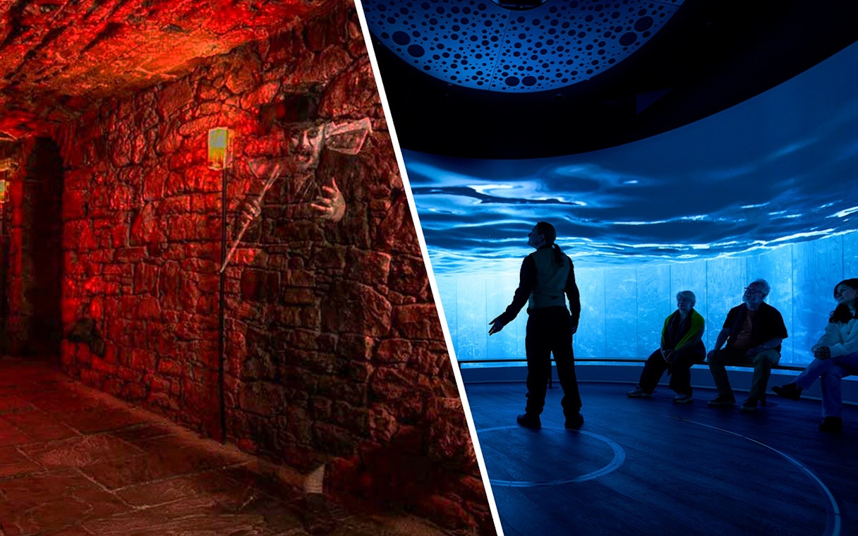People seated in a room with immersive ocean visuals, Scotland exhibit.