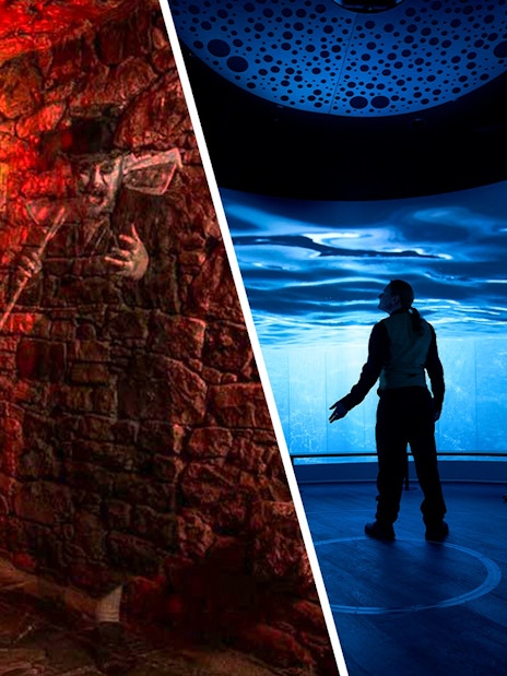 People seated in a room with immersive ocean visuals, Scotland exhibit.