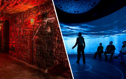 People seated in a room with immersive ocean visuals, Scotland exhibit.
