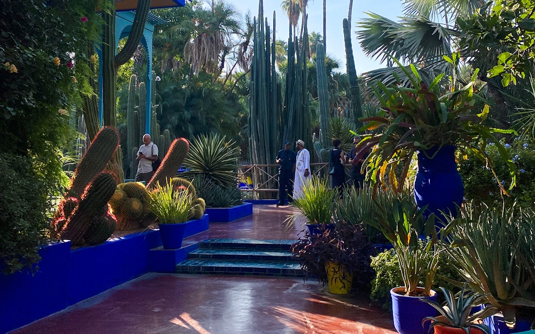 Jardin Majorelle garden path with cacti and visitors in Marrakech, Morocco.