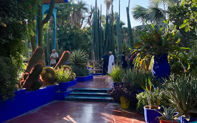 Jardin Majorelle garden path with cacti and visitors in Marrakech, Morocco.