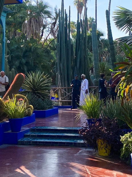 Jardin Majorelle garden path with cacti and visitors in Marrakech, Morocco.
