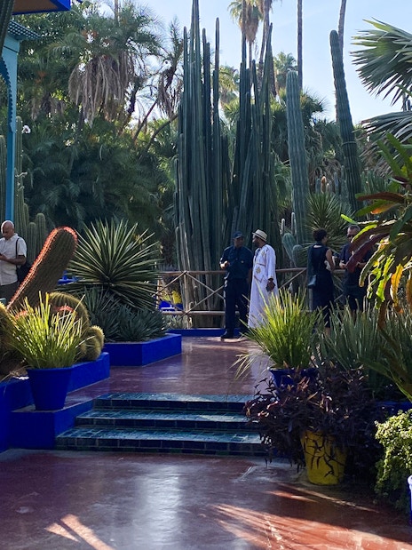 Jardin Majorelle garden path with cacti and visitors in Marrakech, Morocco.
