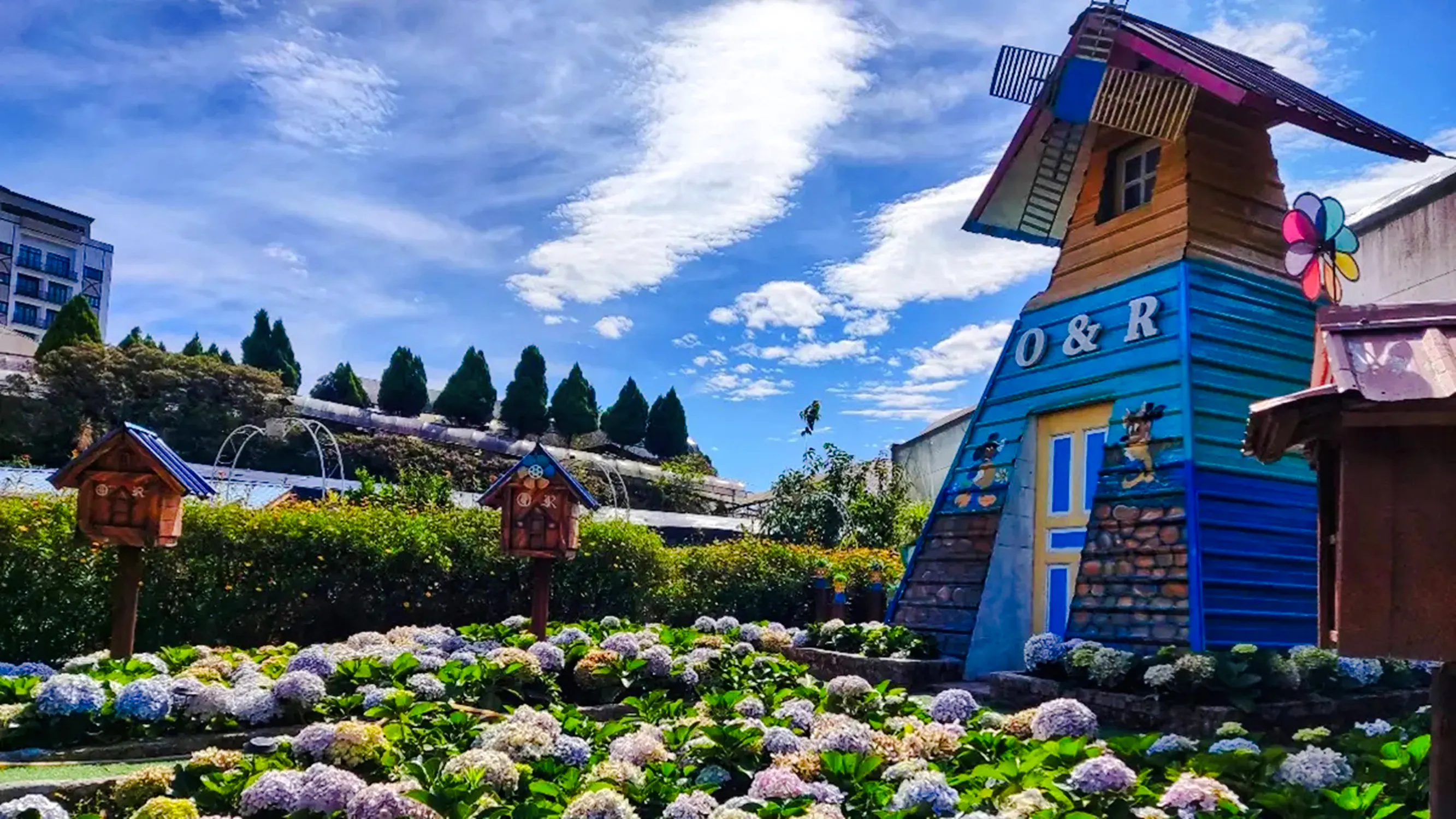from kuala lumpur: private cameron highlands tour-20