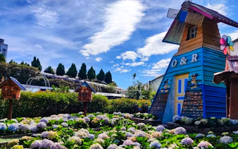 from kuala lumpur: private cameron highlands tour-20