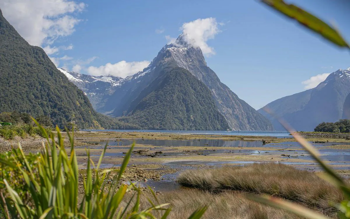 Milford Sound landscape with Mitre Peak and lush greenery, viewed from Te Anau departure.