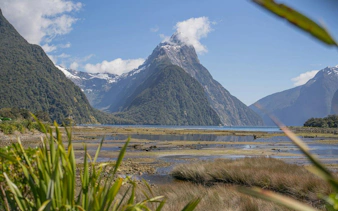 Milford Sound landscape with Mitre Peak and lush greenery, viewed from Te Anau departure.