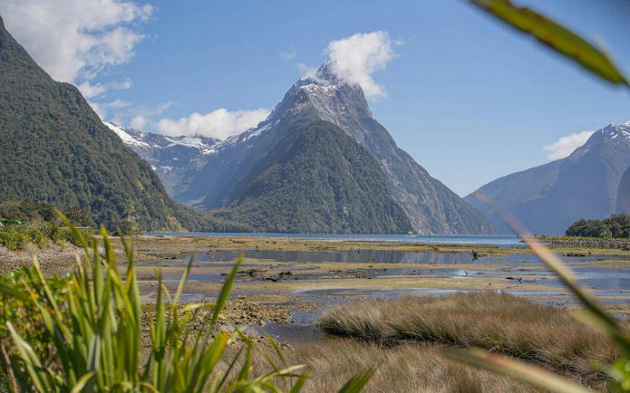 Milford Sound landscape with Mitre Peak and lush greenery, viewed from Te Anau departure.