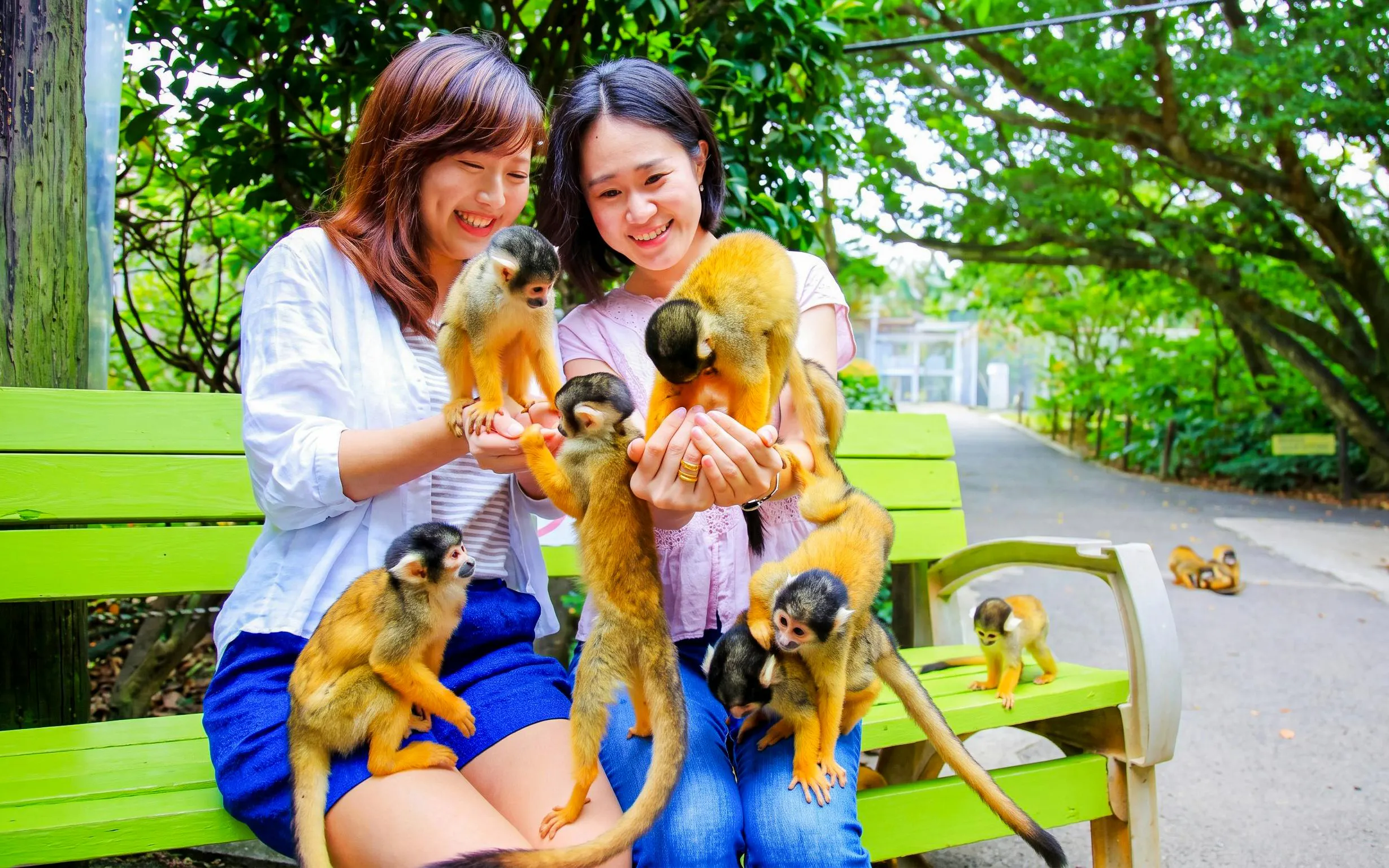 Visitors interacting with squirrel monkeys at Ishigaki Yaima Village.