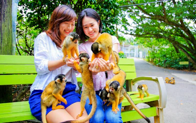 Visitors interacting with squirrel monkeys at Ishigaki Yaima Village.