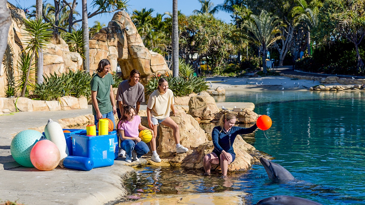 Guests looking at a Dolphin at Sea World Gold Coast