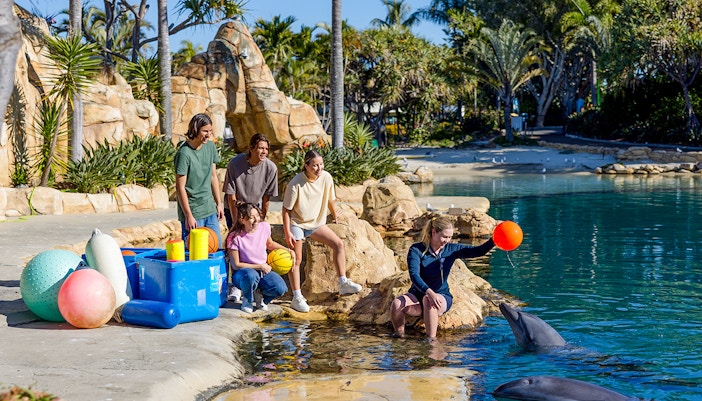 Guests looking at a Dolphin at Sea World Gold Coast