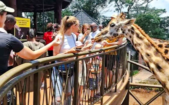 Visitors feeding a giraffe at the Giraffe Centre in Nairobi.