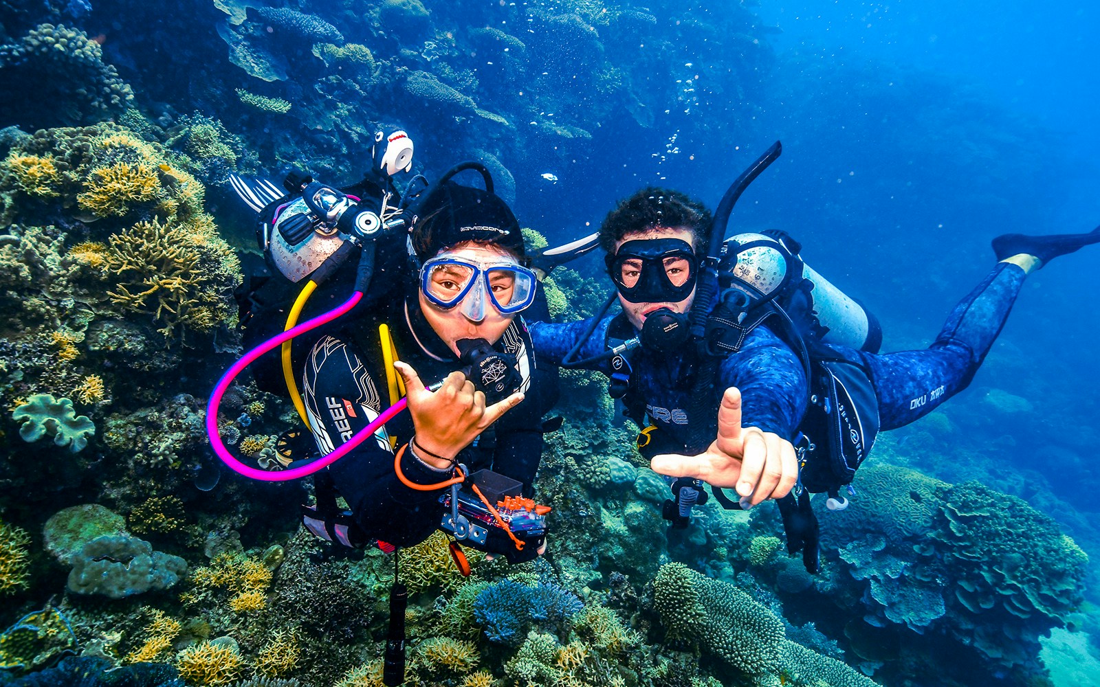 Divers exploring coral formations in the Great Barrier Reef, Australia.