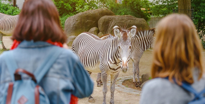 São Paulo Zoo Tickets